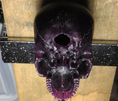skull_005.jpg