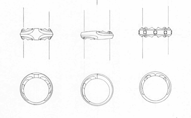 sprecionring.jpg